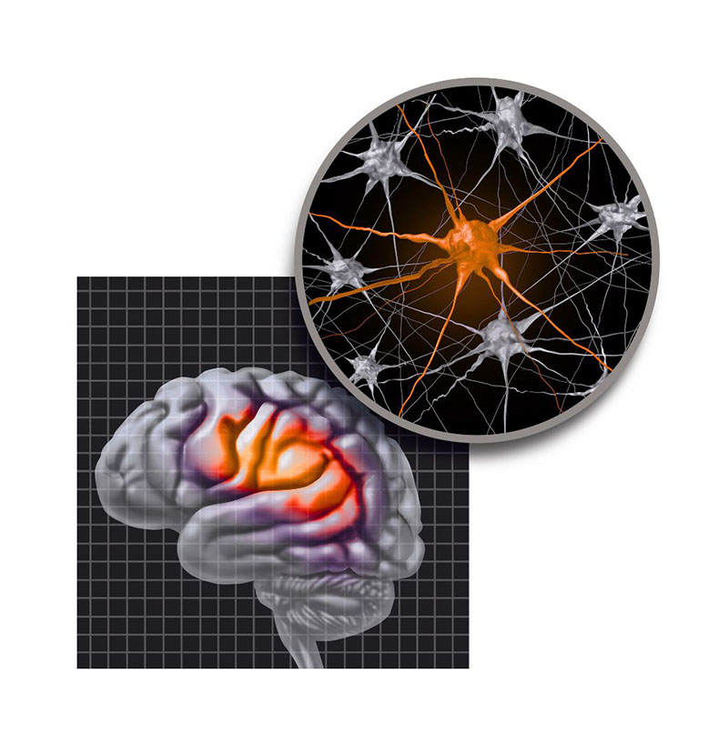 dopamine introduction - www.vivovibes.com