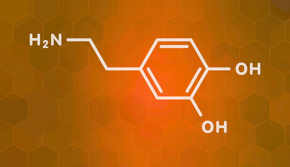 dopamine table of content - www.vivovibes.com