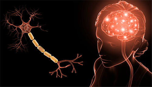 MT Neuroplasticity 101: Your brain’s hidden superpower